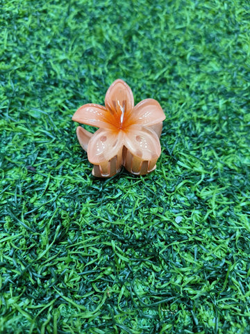 KOREAN CLAW