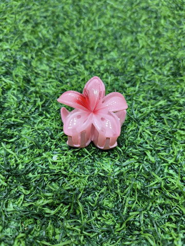 KOREAN CLAW