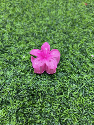 KOREAN CLAW
