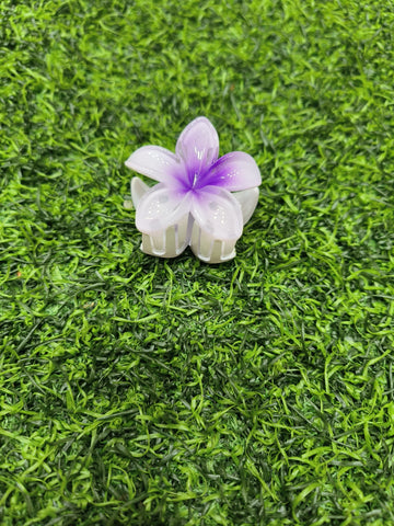 KOREAN CLAW