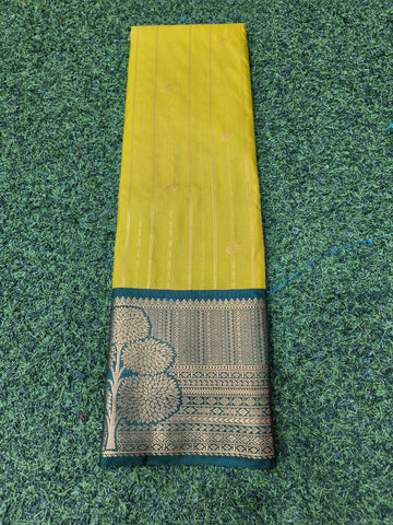 SEMI KANCHI