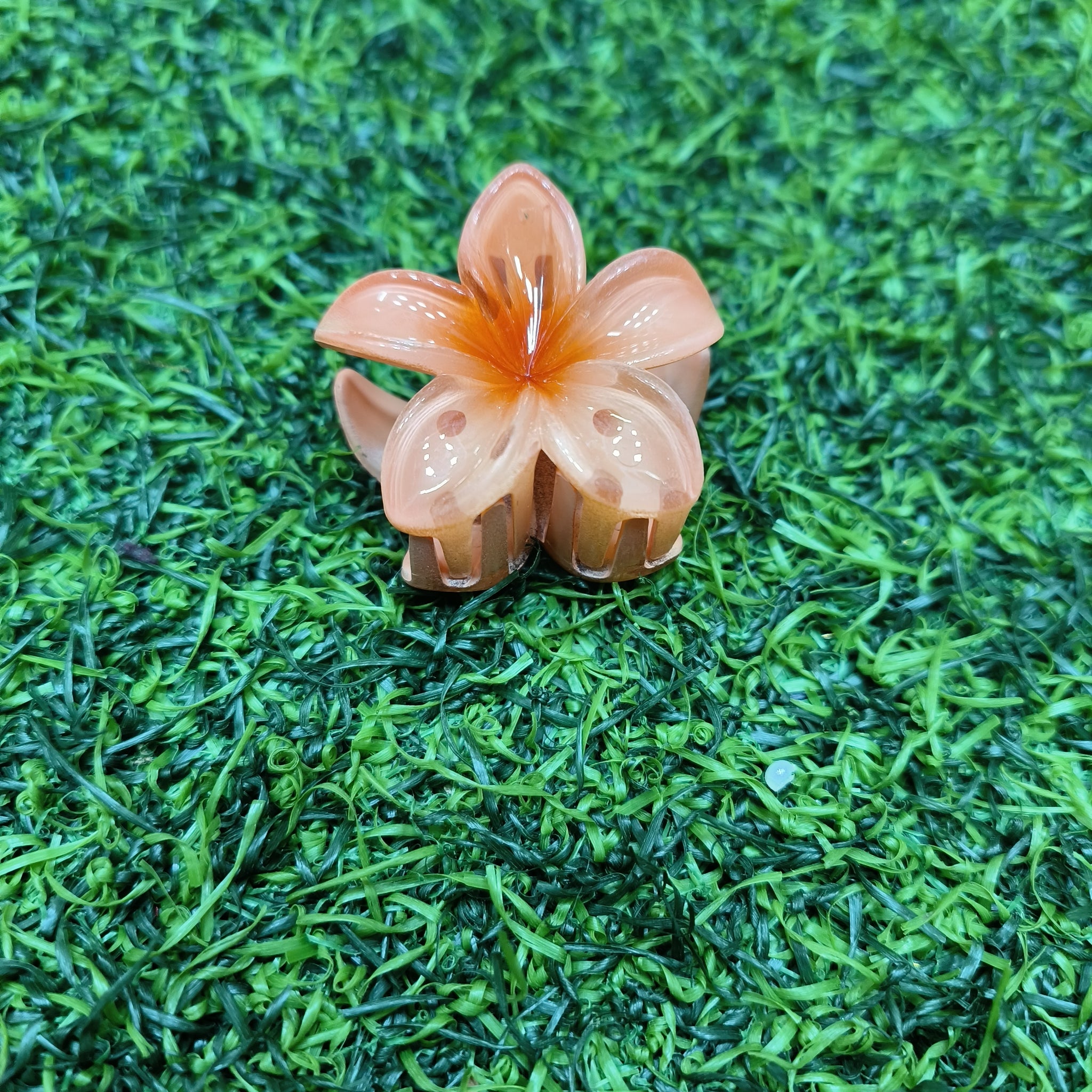 KOREAN CLAW