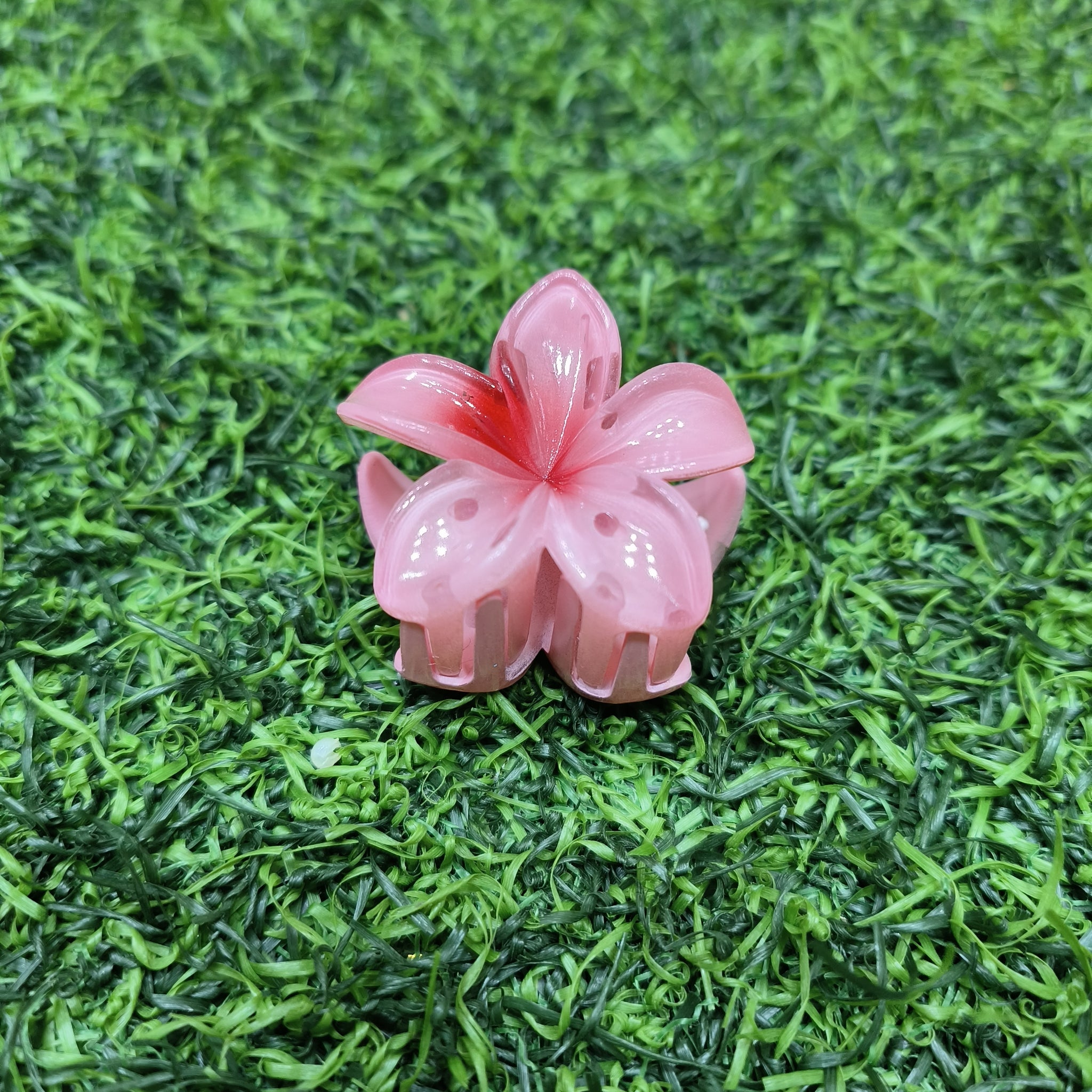 KOREAN CLAW