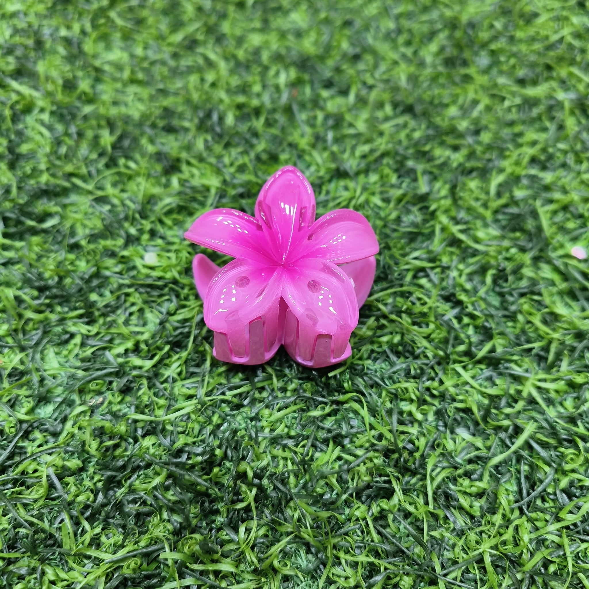 KOREAN CLAW