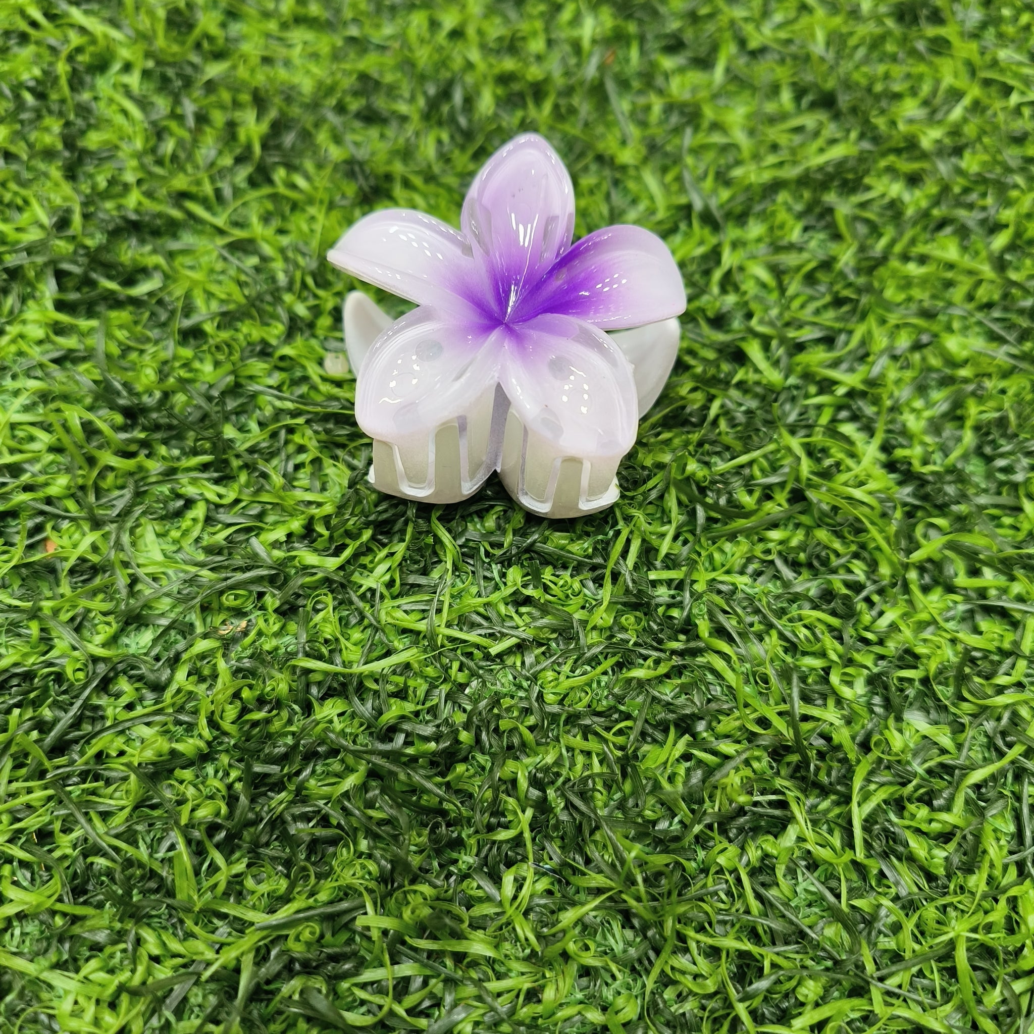 KOREAN CLAW